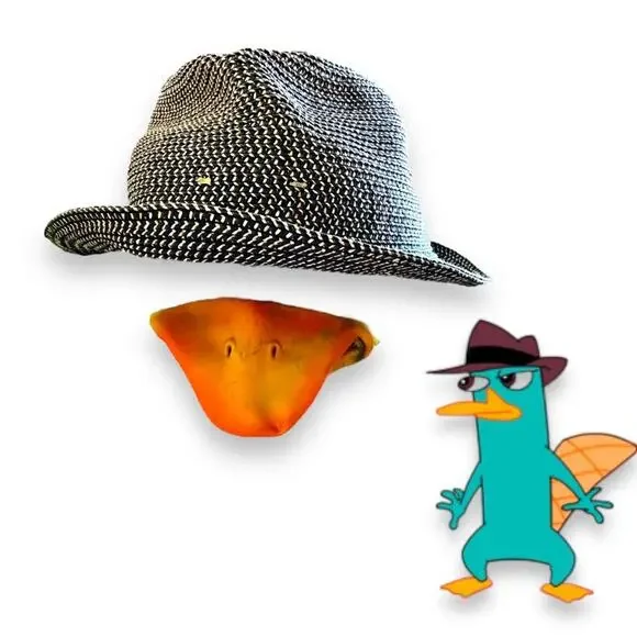 Perry the Platypus Phineas and Ferb Halloween Costume GUC Milo Murphy's Law - Picture 3 of 9
